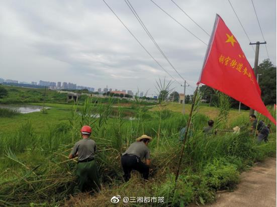 請戰(zhàn)！20余名退役軍人組建志愿隊 遞交抗洪搶險請戰(zhàn)書